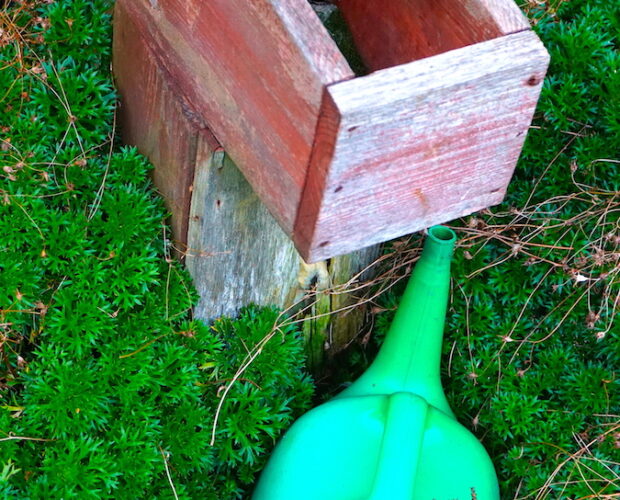 Test di intelligenza e giochi di potere