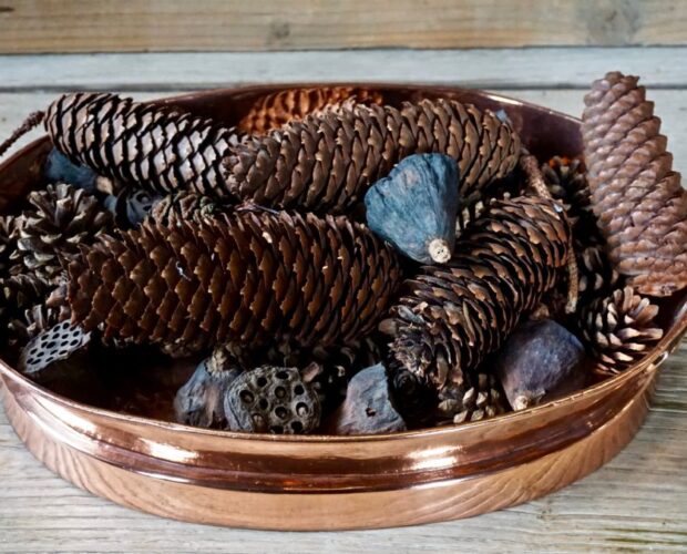 Racconti per intellettuali puri