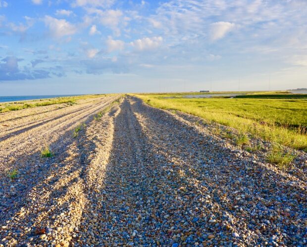 Strada illogica, ispirazione, bellezza