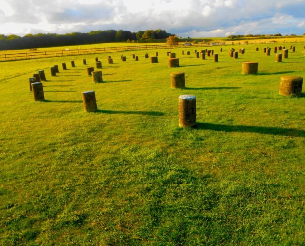 Quando Pavese scrisse "Vergogna" all'invidia di Calvino©