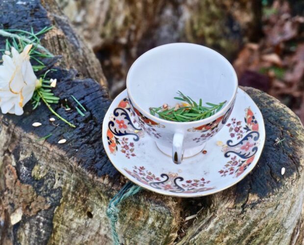 L'è, il non è, il gioco dei mondi