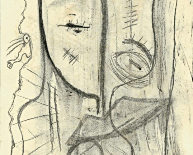 L'oggettivizzazione del soggetto no