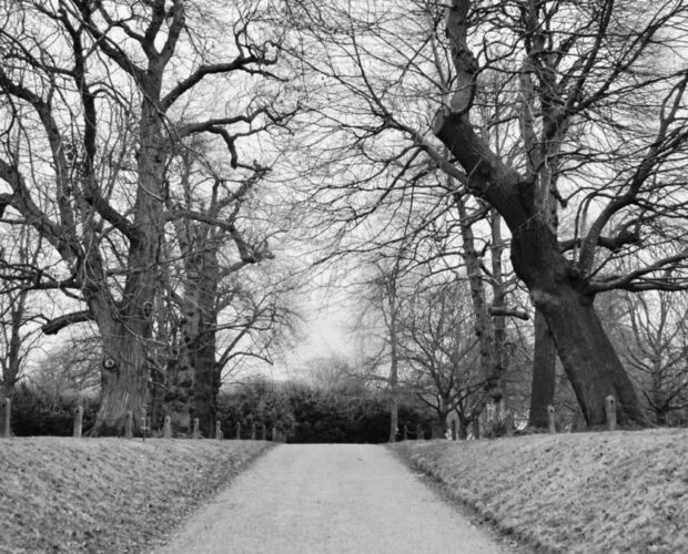 Ierru de vida cracca