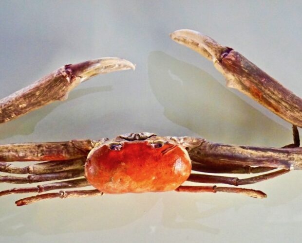 La poetessa con la P.