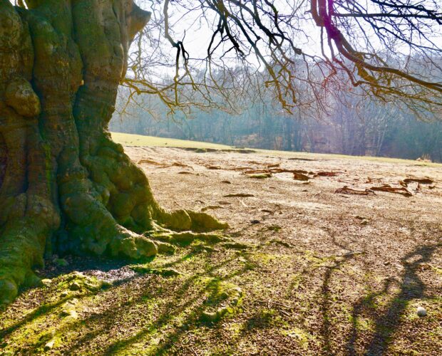 Chi era veramente Matilde Serao?