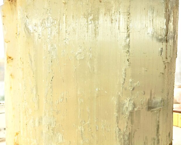 Salvini-Murgia, la pantomima dell'Italietta dei famosi