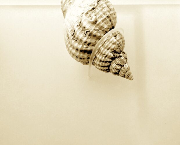 La popolarità e le mani in pasta