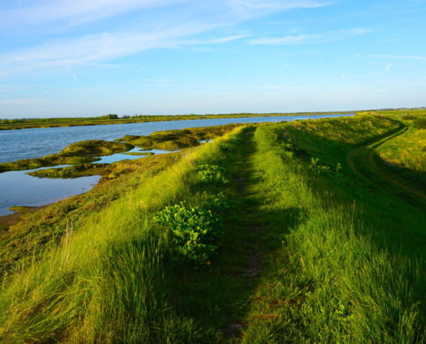 Cappello poeta, qualche dubbio