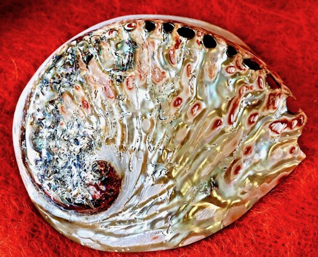 La centralità della donna e il pessimismo di Sciascia