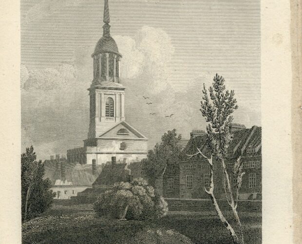 La brutta prosa de Il richiamo del cuculo