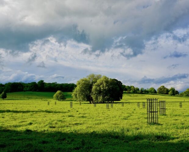 Notazioni sulla d eufonica