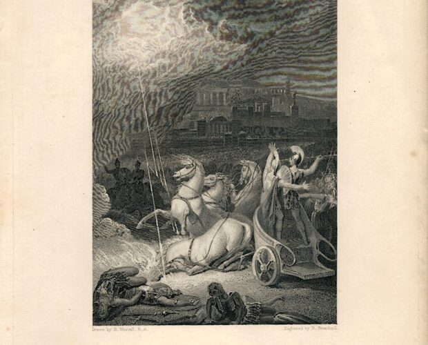 Gli animali, vittime senza voce