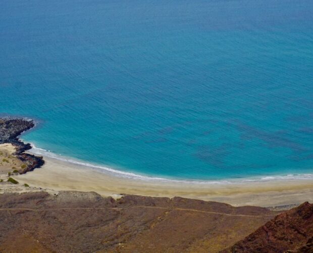 Baricco scrive? Non lo sapevamo