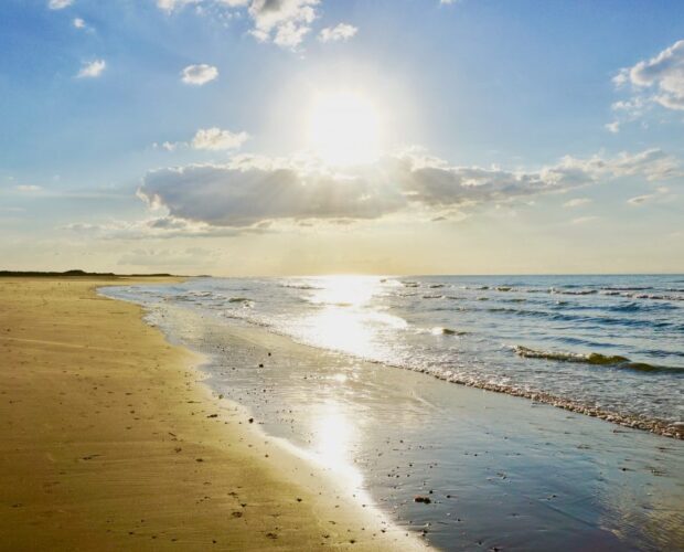 Tra Françafrique e neocolonialismo