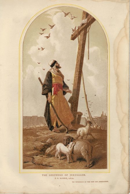 Vintage Print, The Shepherd of Jerusalem, by P.R. Morris, 1902