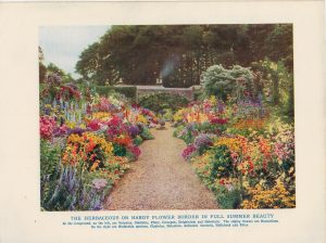 Vintage Print, The Herbaceus or Hardy Flower Border in Full Summer Beauty, 1902