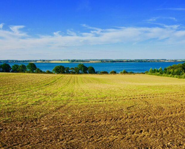 Et Rue des éditeurs