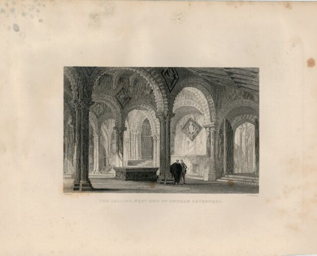 Le controcurve ai polilobi