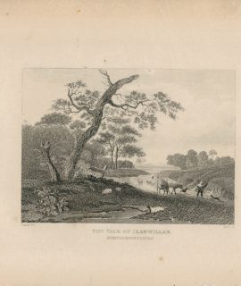 Antique Engraving Print, The Yale of LLanwillan, Montgomeryshire, 1820 ca.