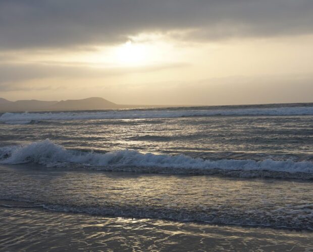 La vera cultura? Non esiste!