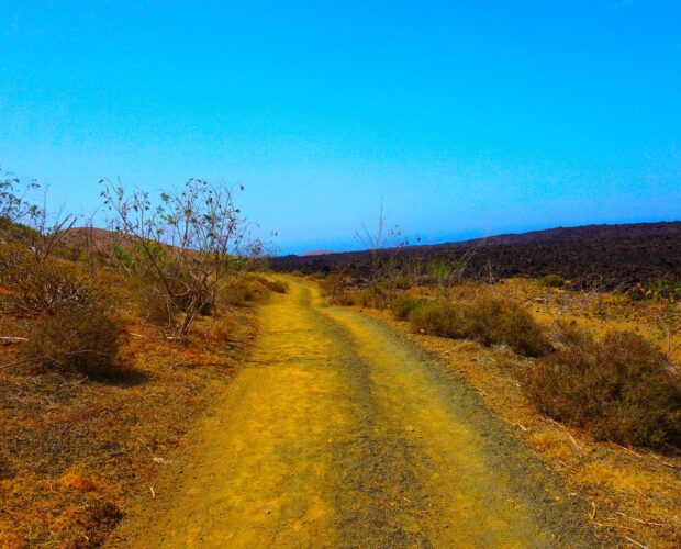 Ditta Italia da sempre corrottissima