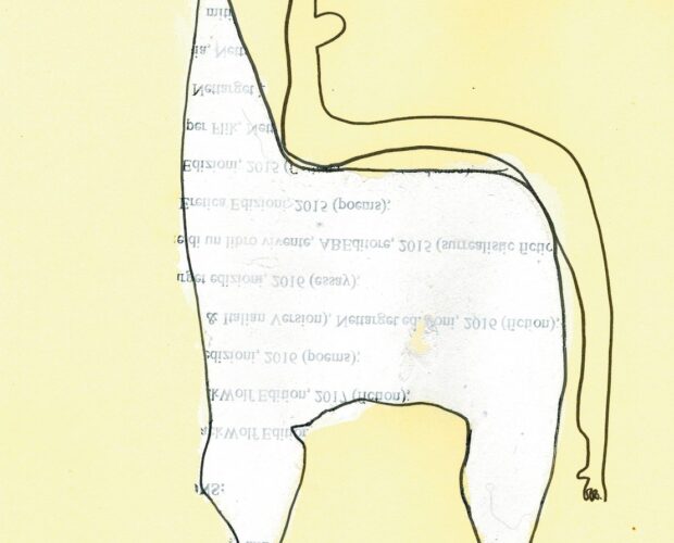 Le polemiche sul nulla