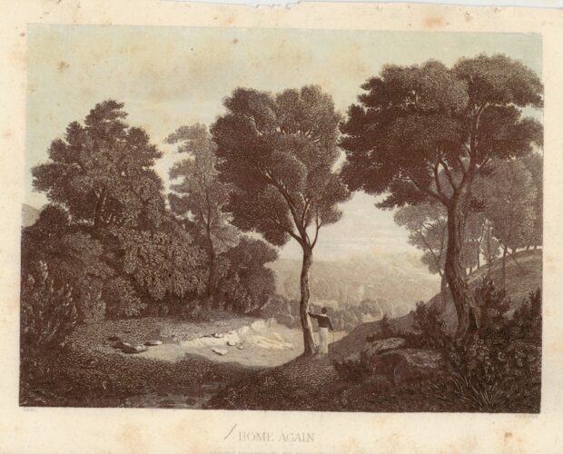 Il fiele dei limoni mossi