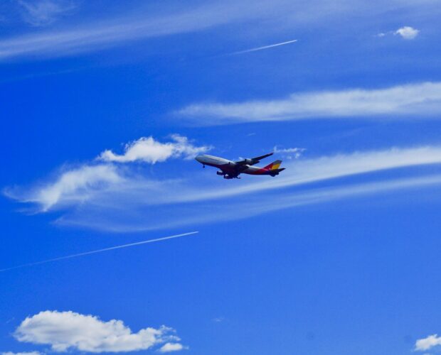 Siamo tutti ignoranti, buon risveglio