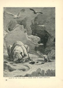 Antique Print, Death of the Polar Bear: A Winter Scene in north Greenland, 1890
