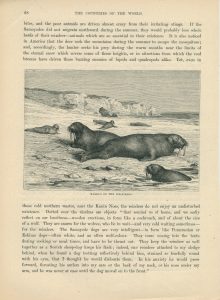 Lot of 7 Antique Prints, Life in Greenland, 1880