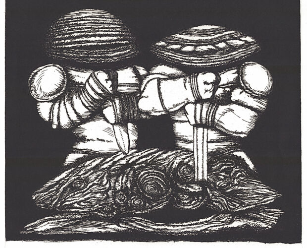 Le matrici tagliate, l'ostrica