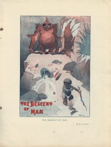Vintage Print, The Descent of Man, 1908