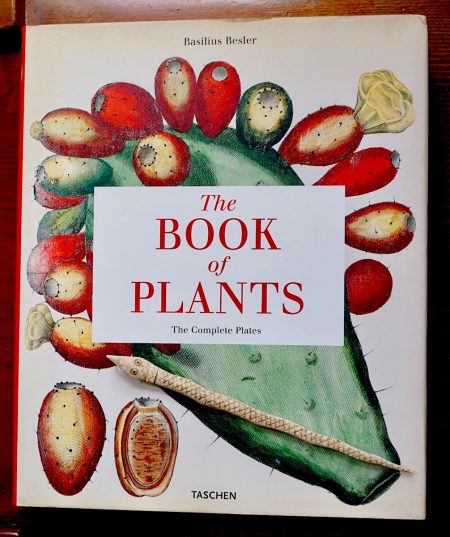 Basilius Besler, The Book of Plants, Taschen