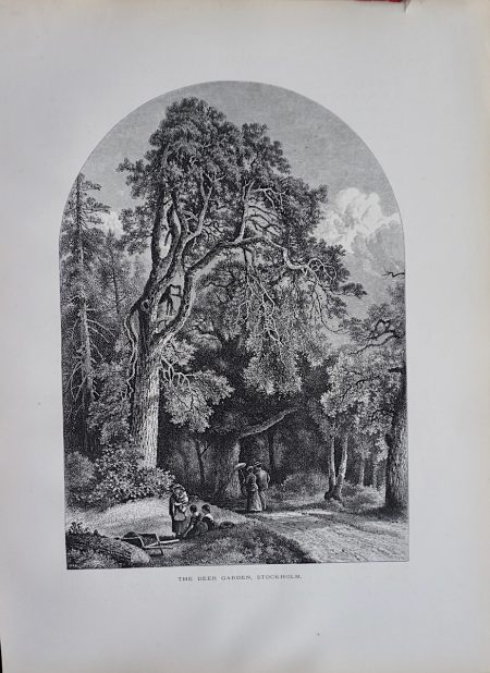 Antique Print, The Deer Garden, Stockholm, 1870