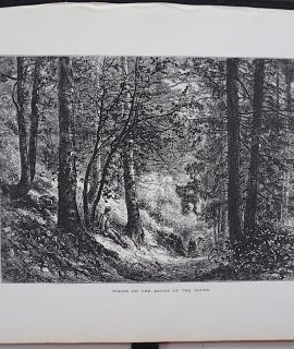 Antique Print, Woods on the Banks of the Doues, 1870