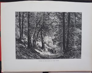 Antique Print, Woods on the Banks of the Doues, 1870