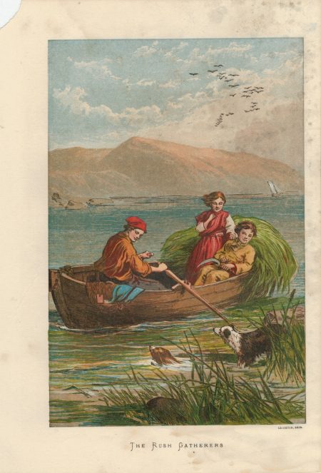 Rare Antique Print, The Rush Gatherers, 1870