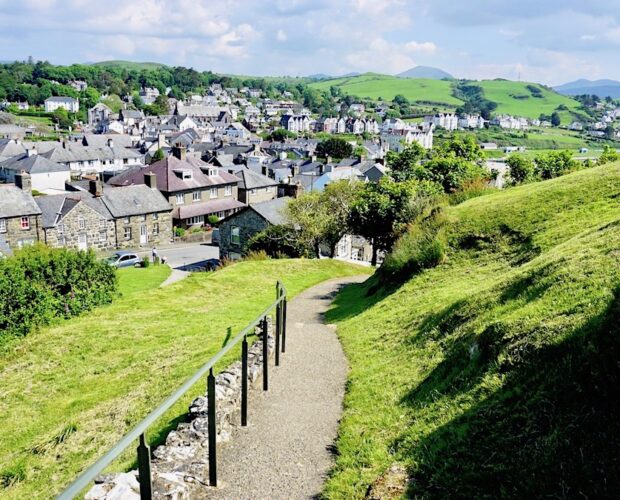 Anno delle lingue, esperanto