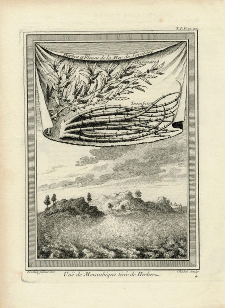 Antique Engraving Print, Vue de Mozanbique tirée de Herbers, 1755