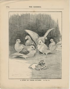 Vintage Print, A Story of Three Kittens, 1890