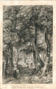 Antique Engraving Print, The Forest, Maple Durham, 1830