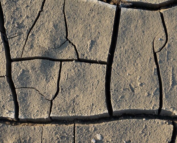 Recensori, opinionisti , dilettantismo spiccio