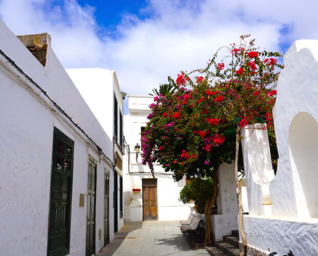 Civitas esperantica, ius sermonis