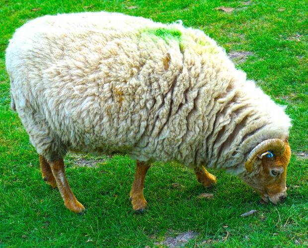 Critica letteraria, borghesia, marketing