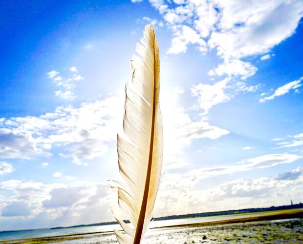 Iannone, premiato circuito autoreferenziale