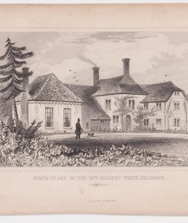 Antique Engraving Print, Birth-Place of the Rev. Gilbert White, Selborn, 1845