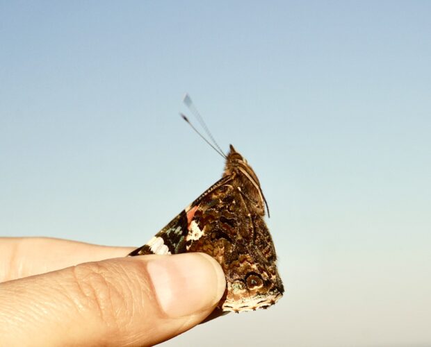 Poesia, letteratura, servi, padroni