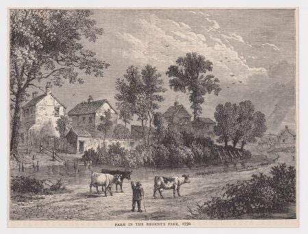 Antique Print, Farm in the Regents Park, 1880