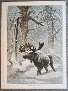 Antique Print, Winter, by J. Wolf, 1973