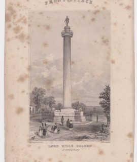 Antique Engraving Print, Lord Hills Column, 1845